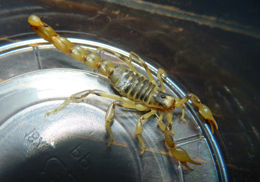 View Full Size Image