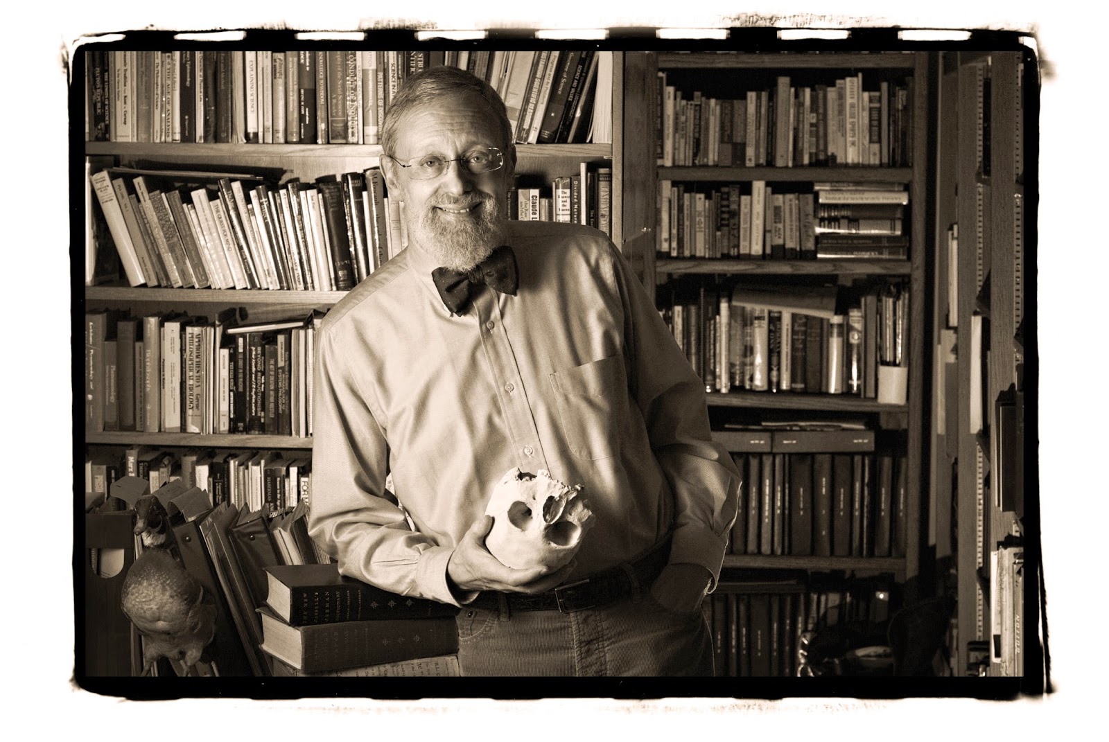 View Full Size Image