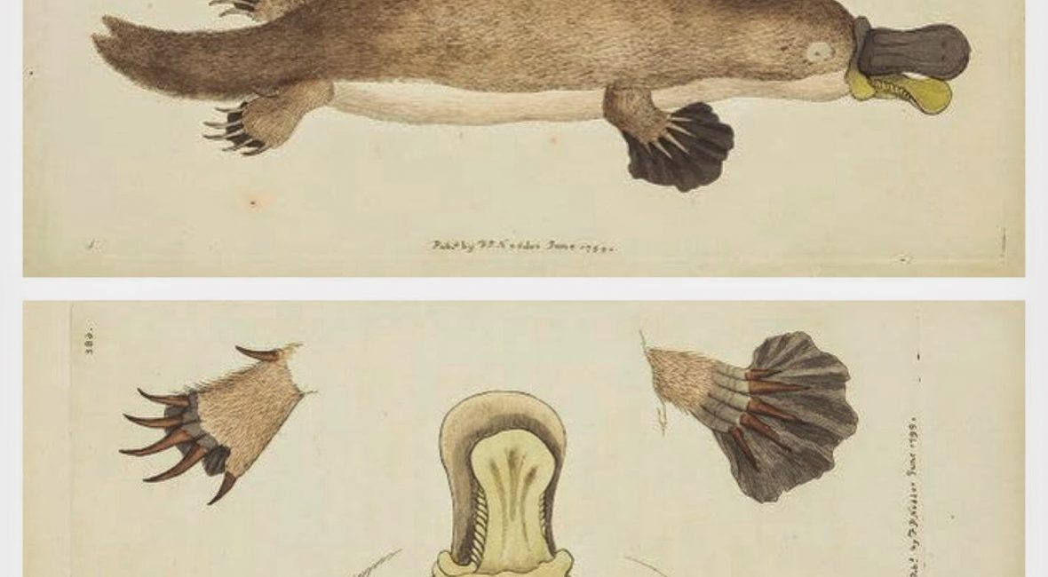 Read the full blog post