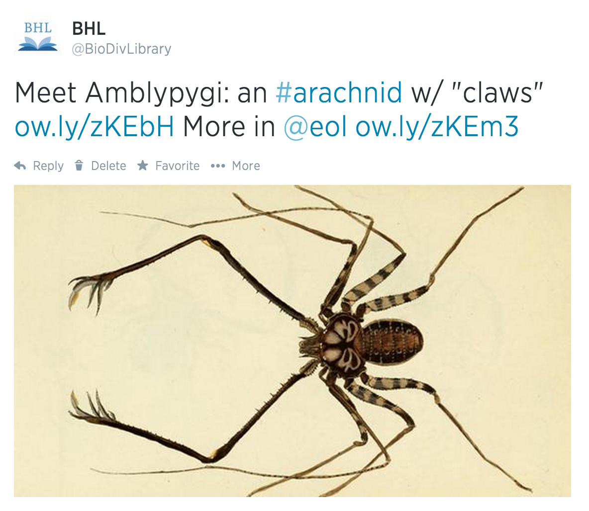 View Full Size Image