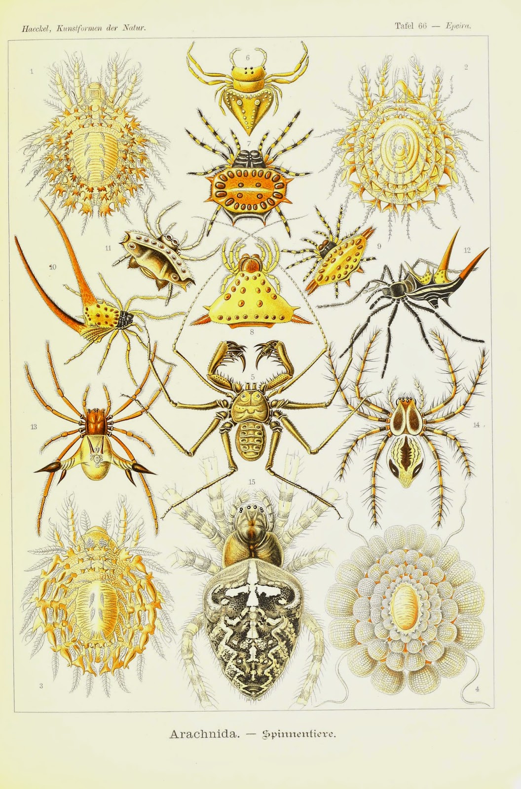 View Full Size Image