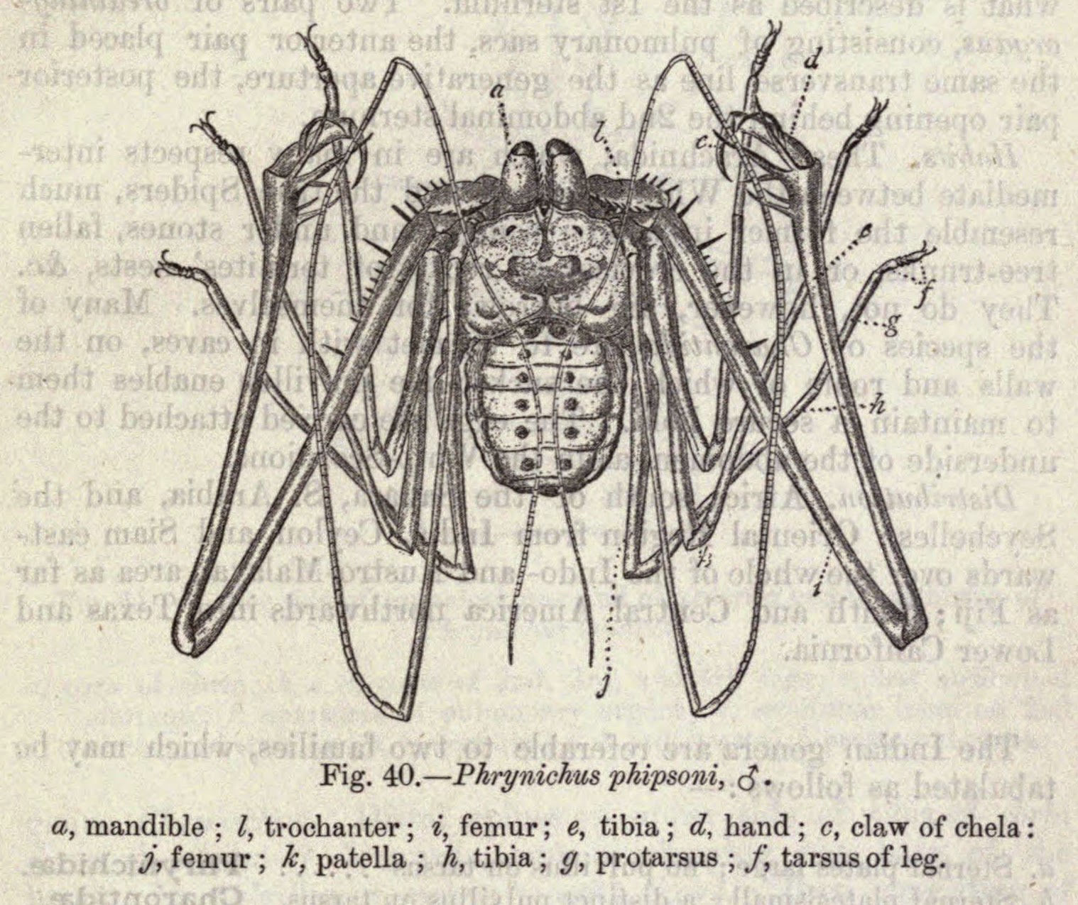 View Full Size Image