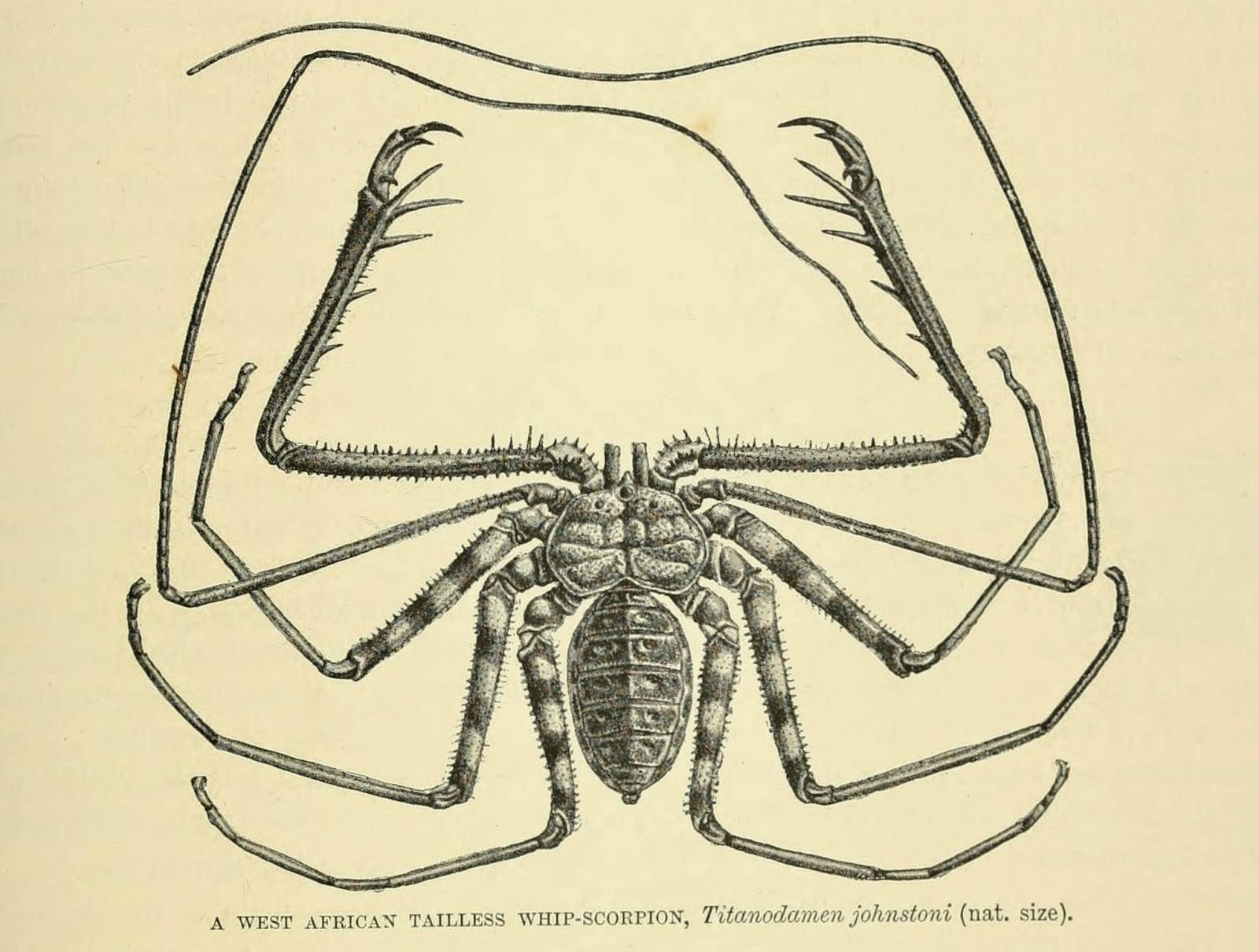 View Full Size Image