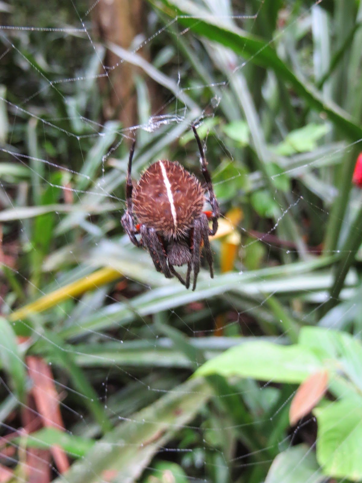 View Full Size Image