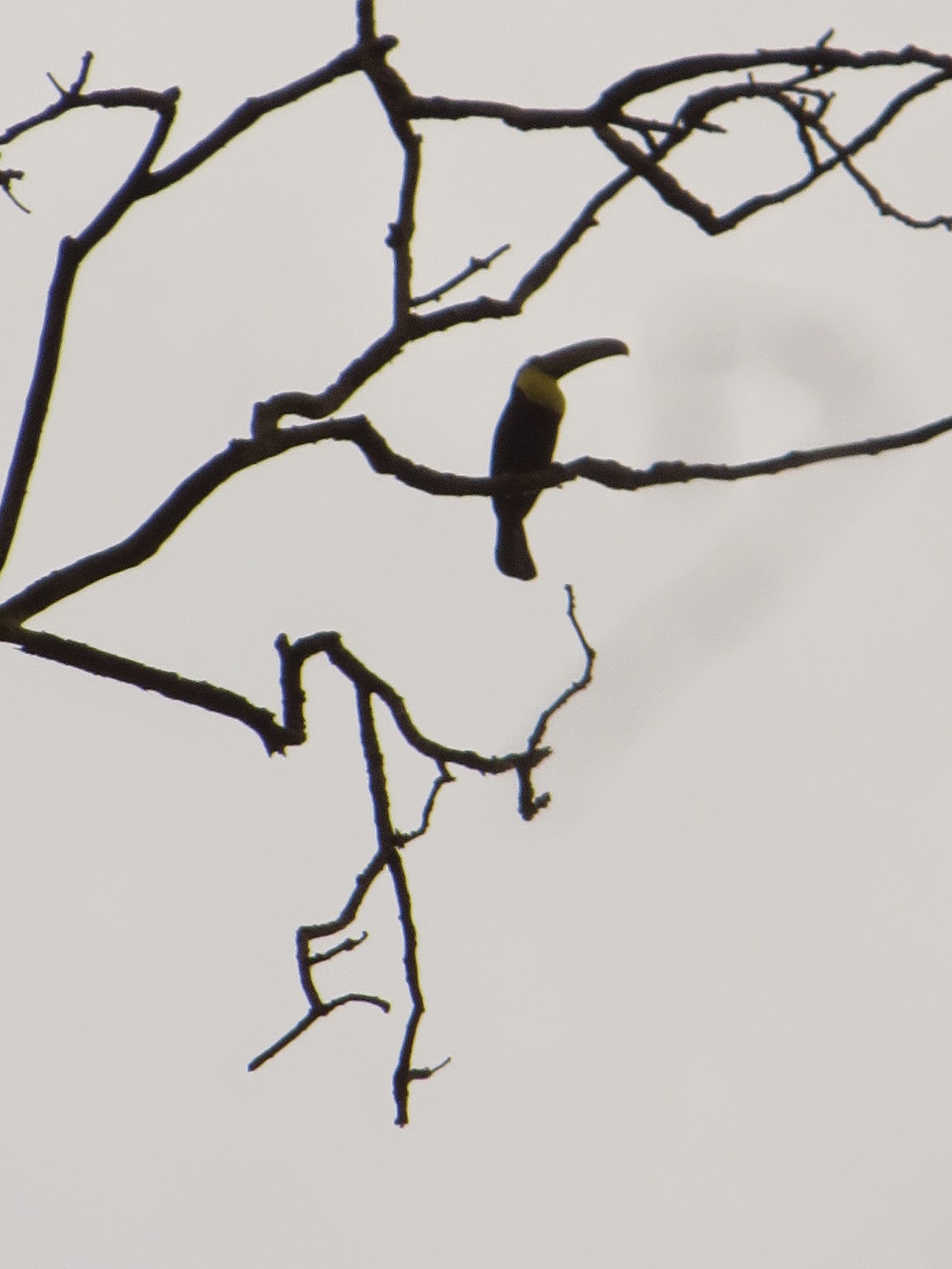 View Full Size Image