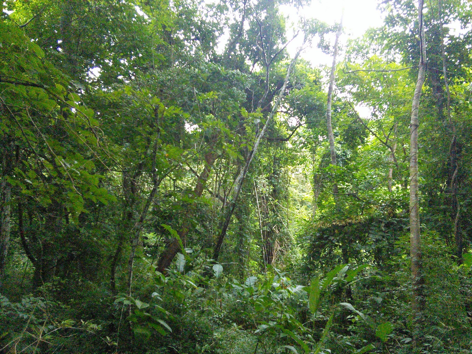 View Full Size Image