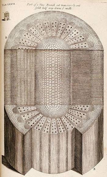 Read the full blog post