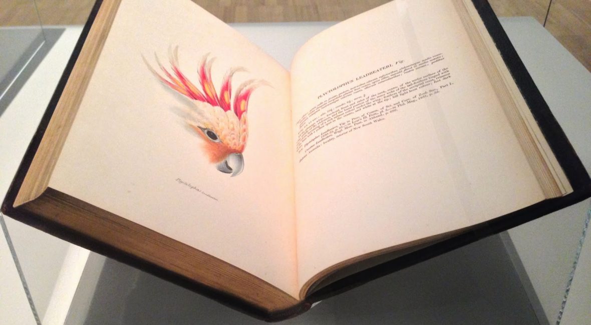 Read the full blog post