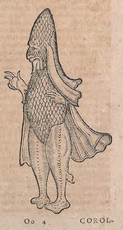 View Full Size Image