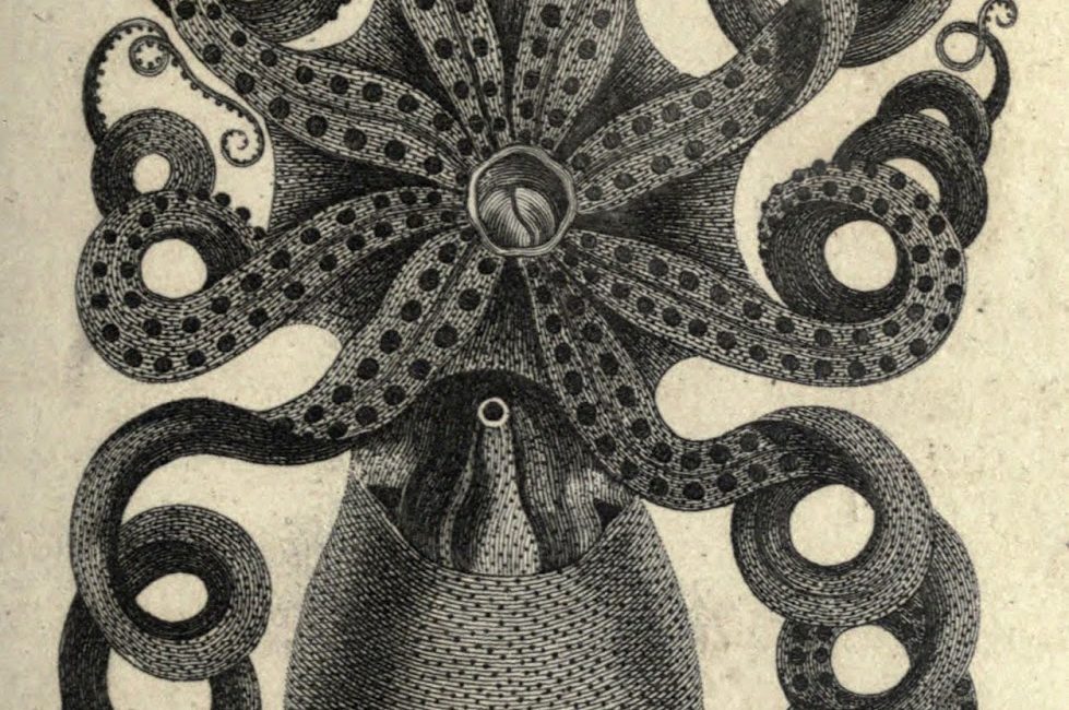 Read the full blog post