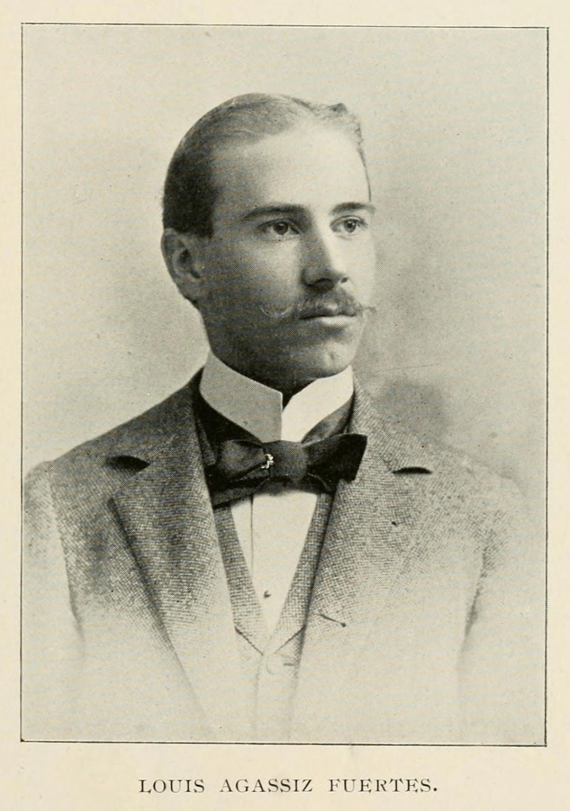 View Full Size Image