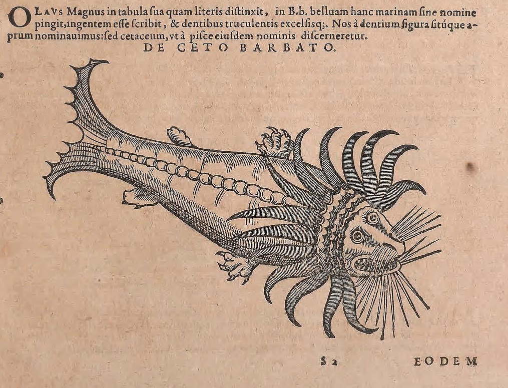 View Full Size Image