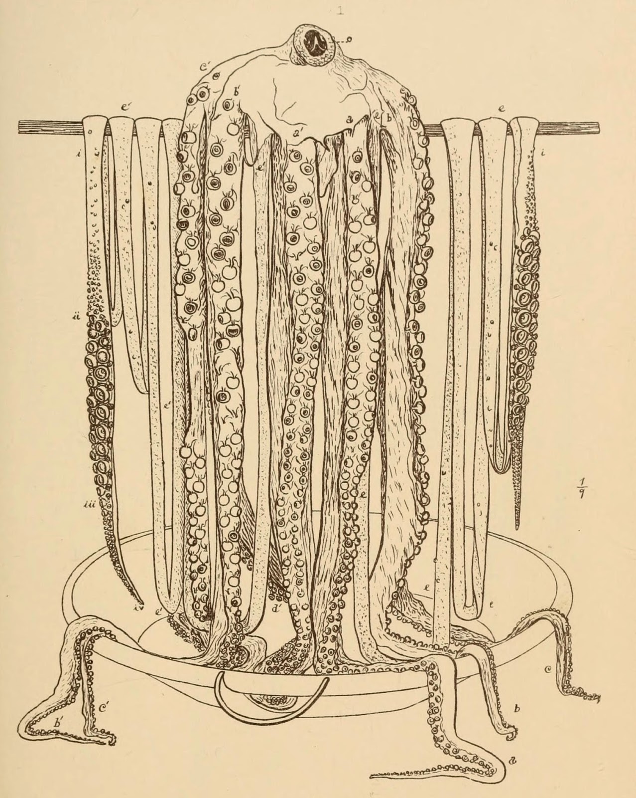 View Full Size Image