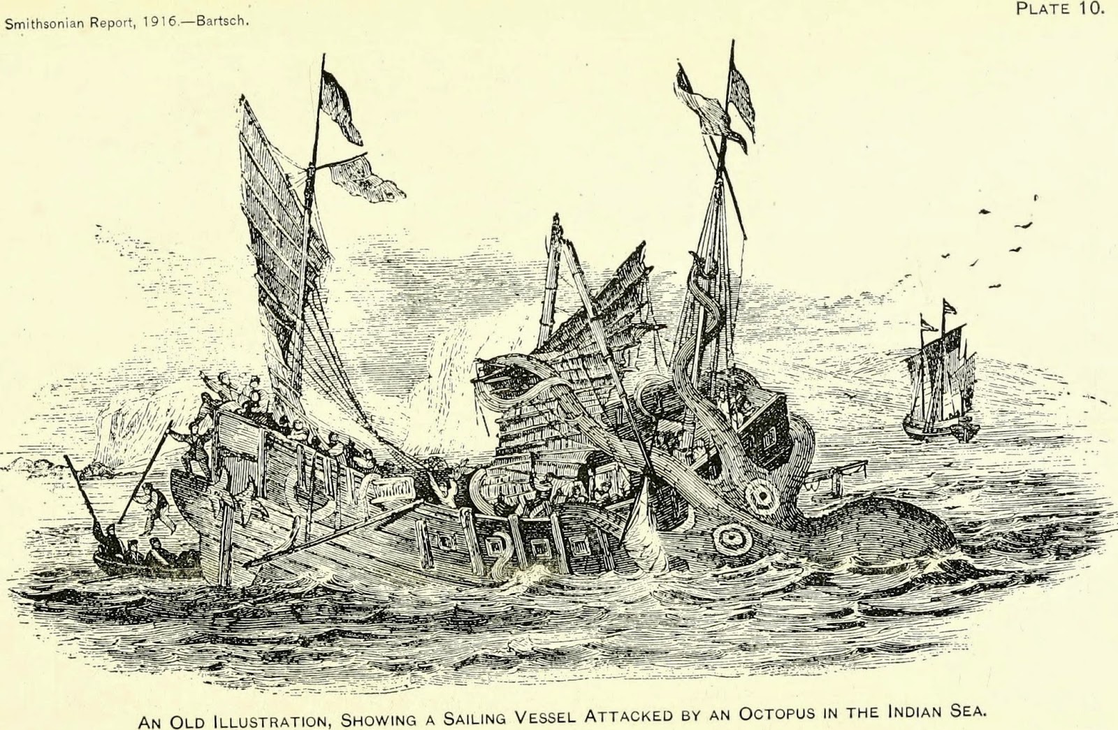 View Full Size Image