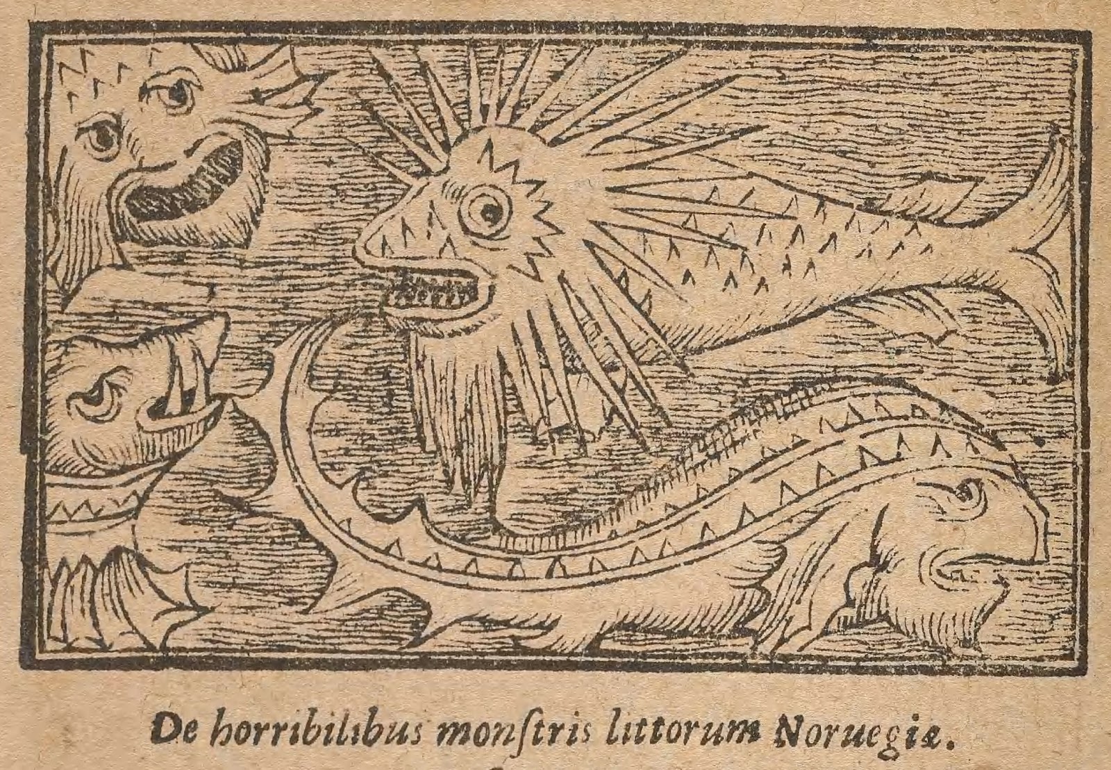 View Full Size Image