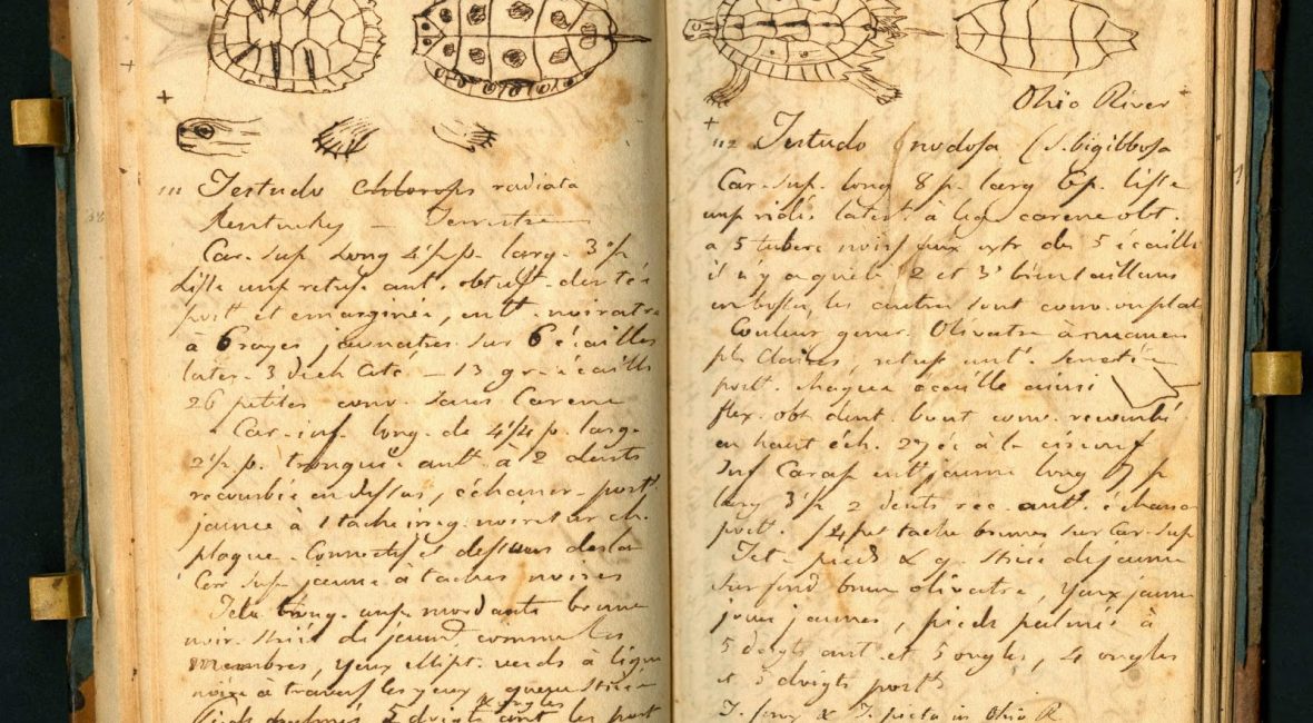 Read the full blog post