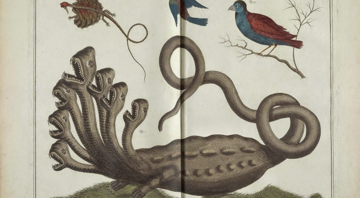 Read the full blog post