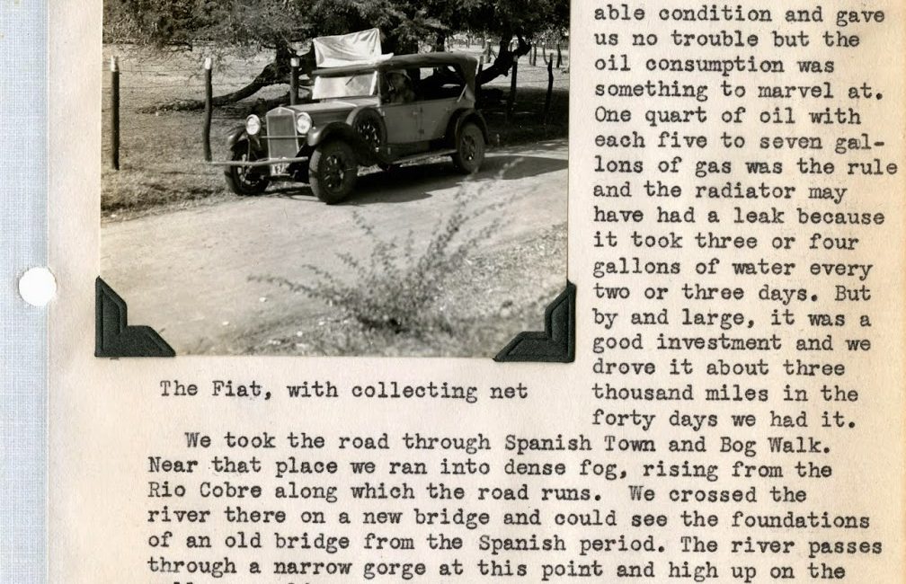 Read the full blog post