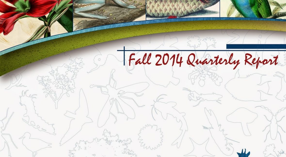 Read the full blog post