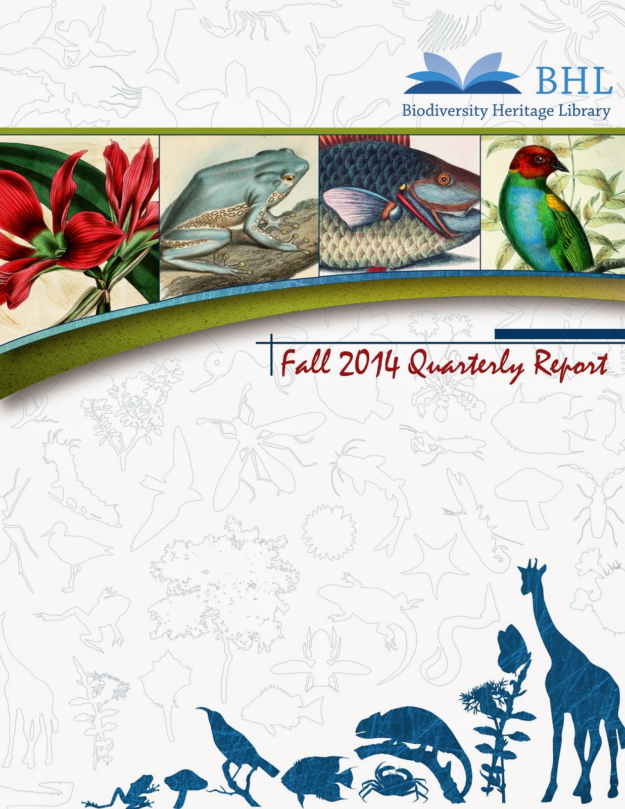 View Full Size Image