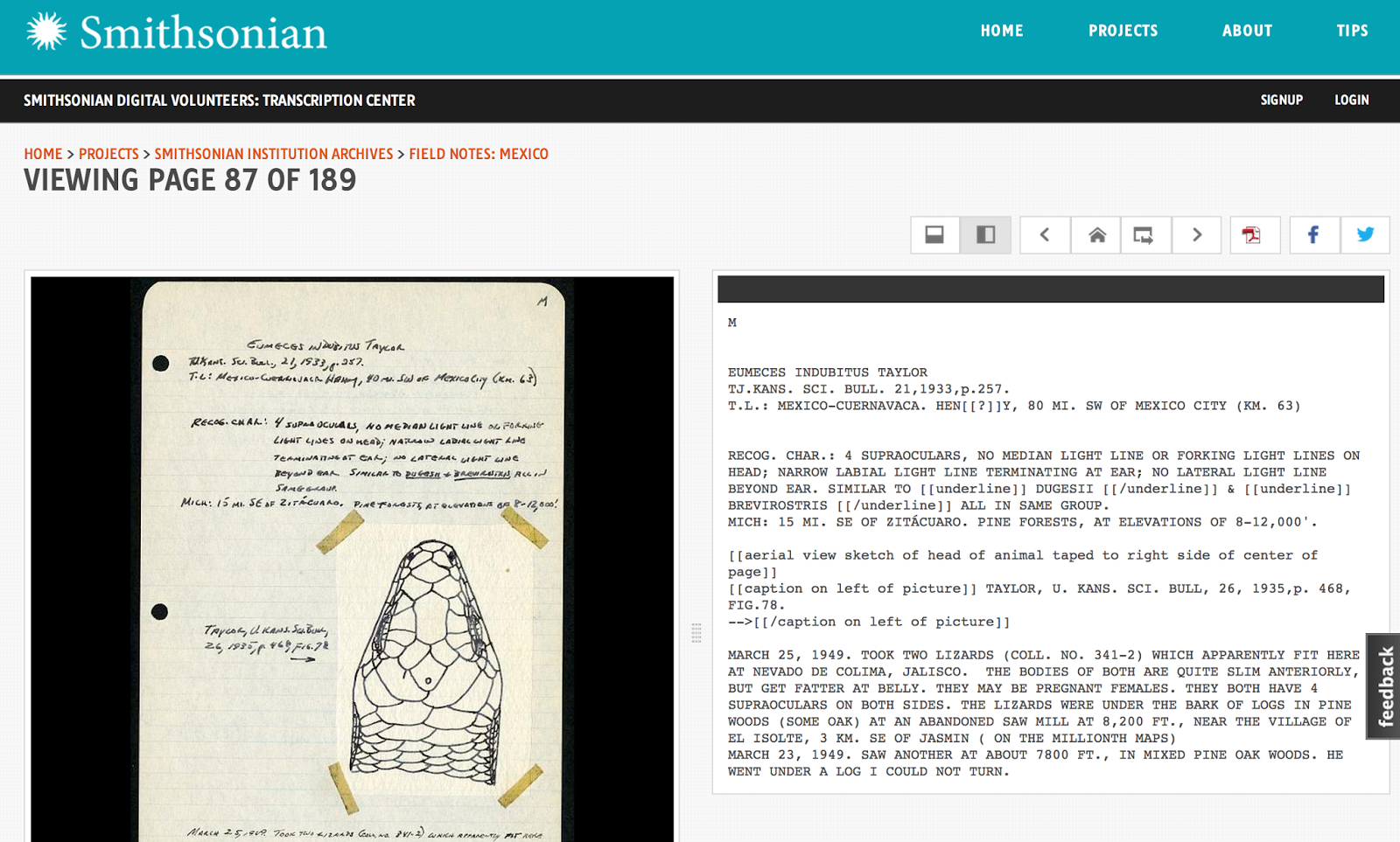 View Full Size Image