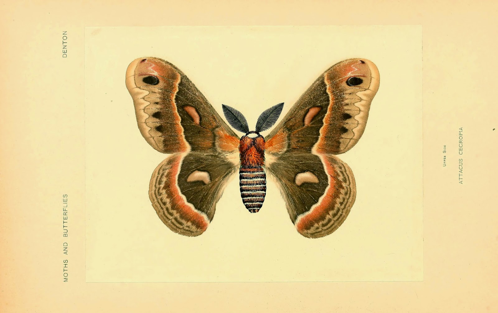 View Full Size Image