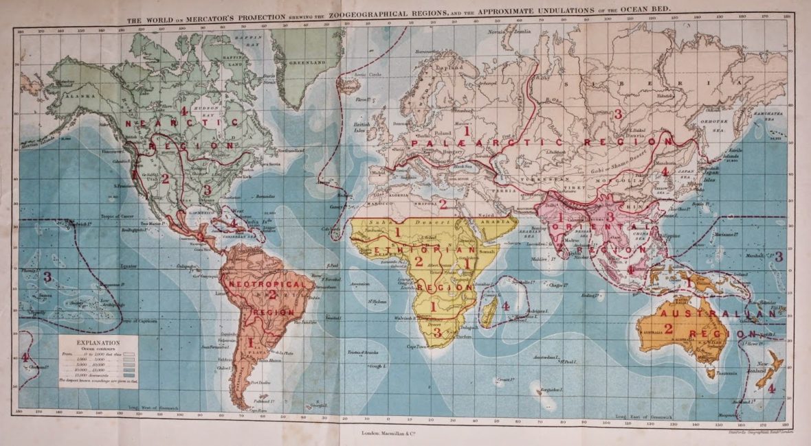 Read the full blog post