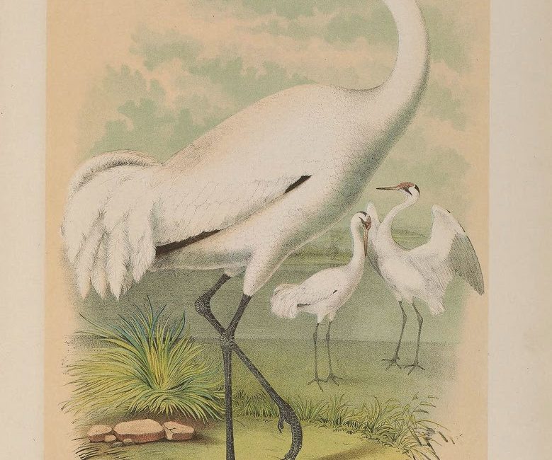 Read the full blog post