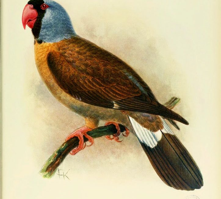 Read the full blog post