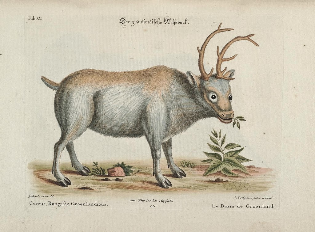 View Full Size Image