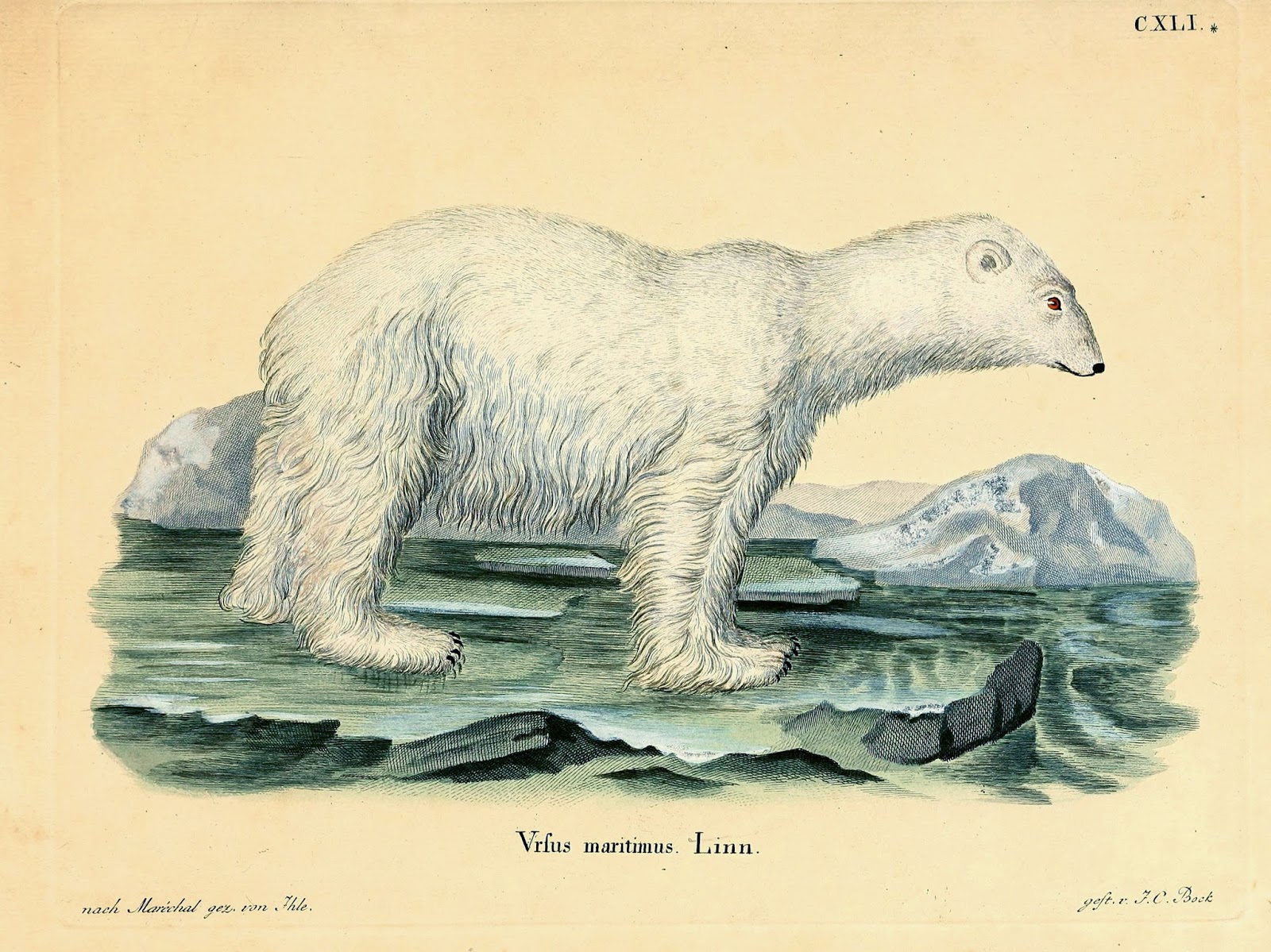 View Full Size Image