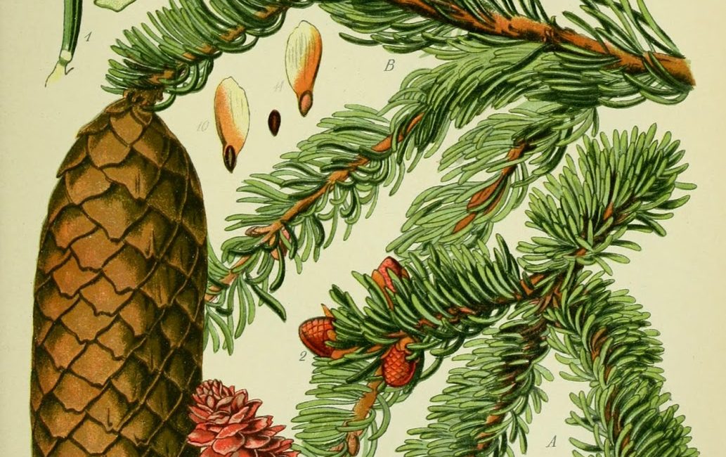 Read the full blog post