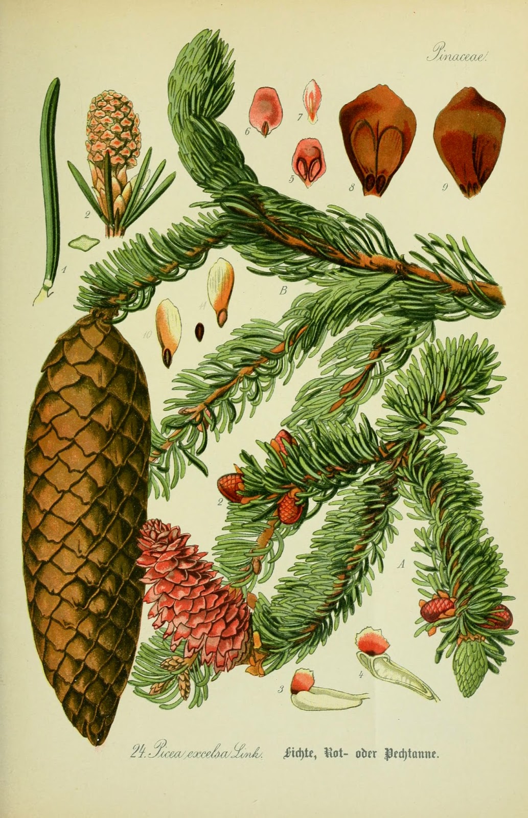 View Full Size Image