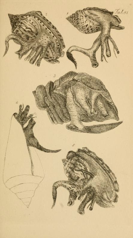 View Full Size Image