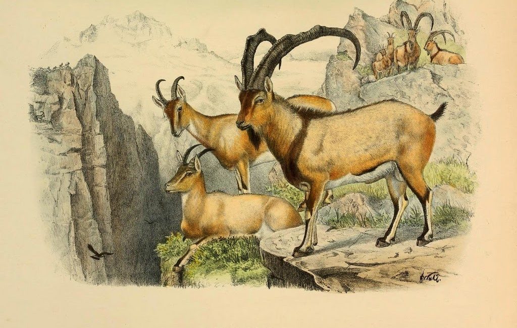 Read the full blog post