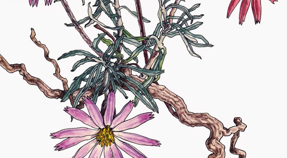 Read the full blog post