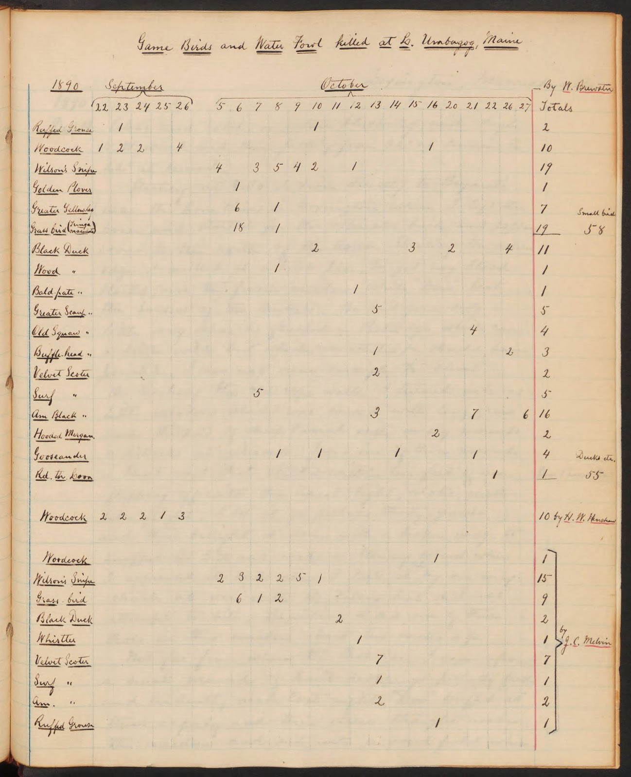 View Full Size Image