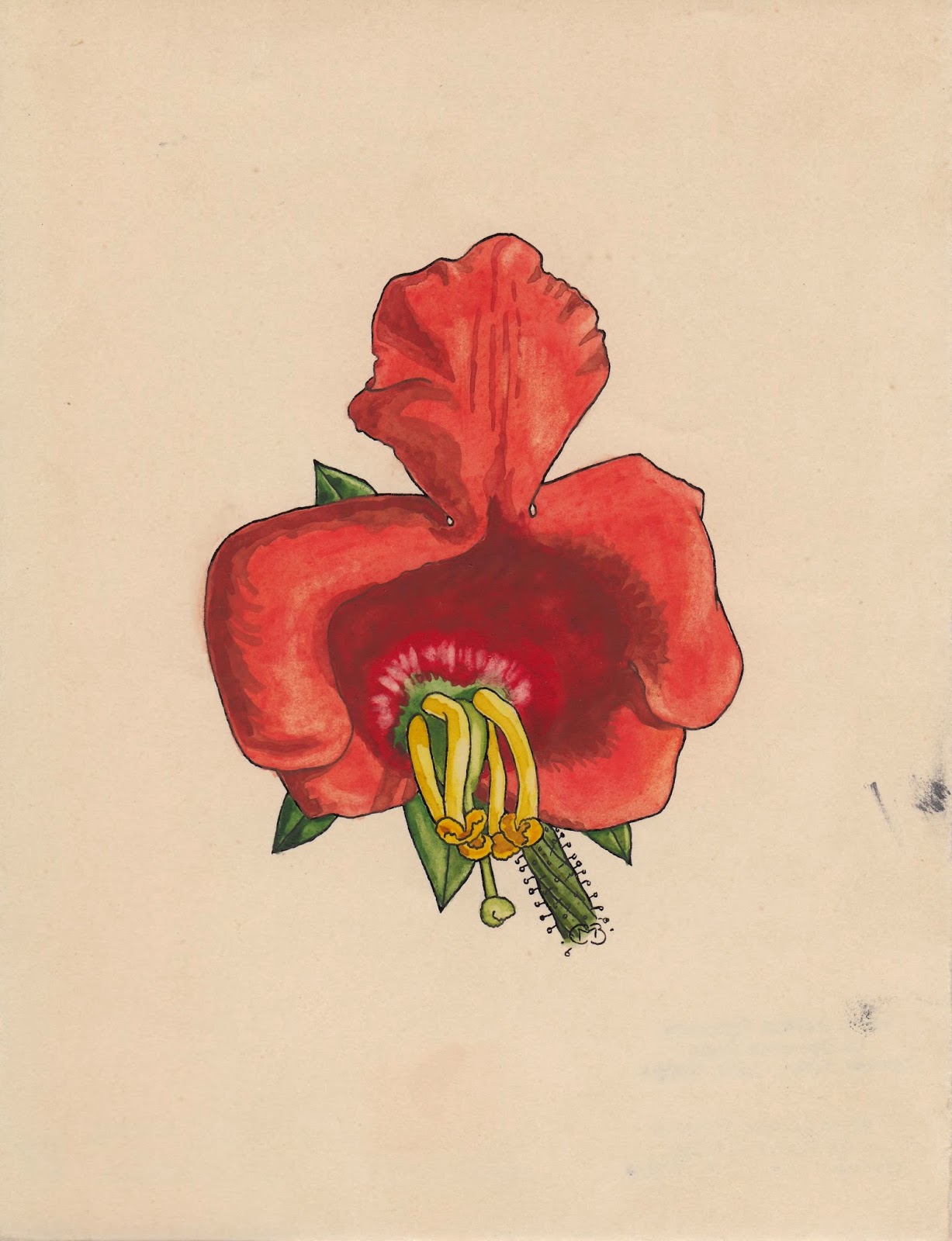 View Full Size Image