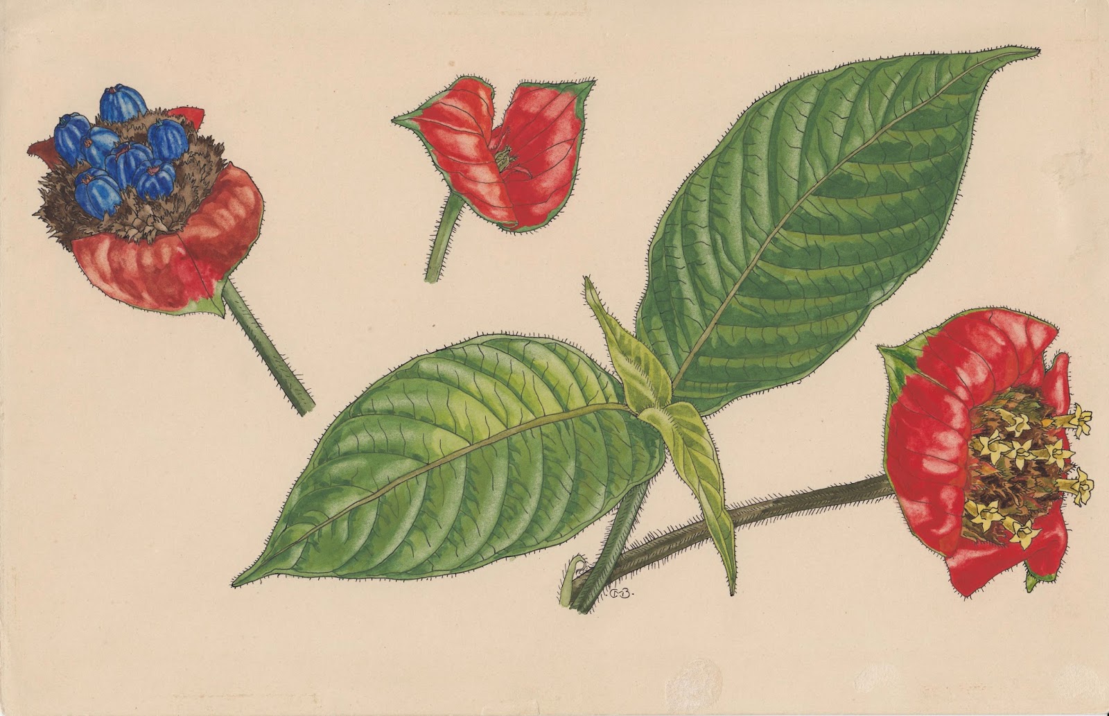 View Full Size Image