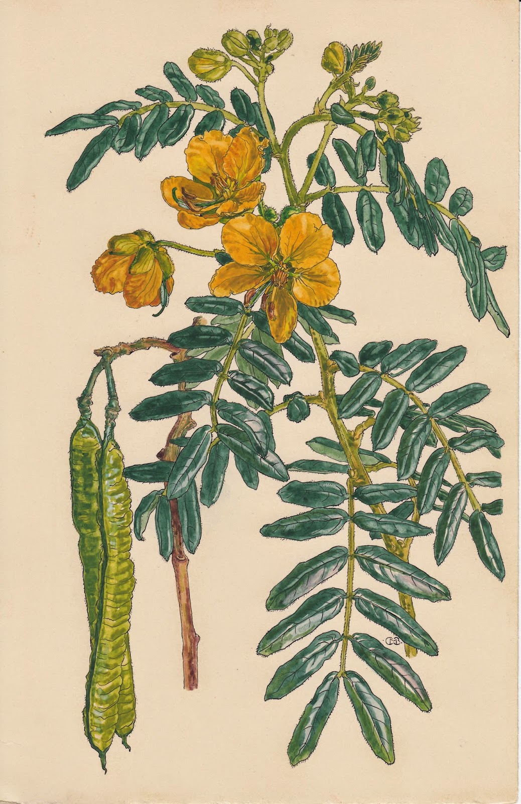 View Full Size Image