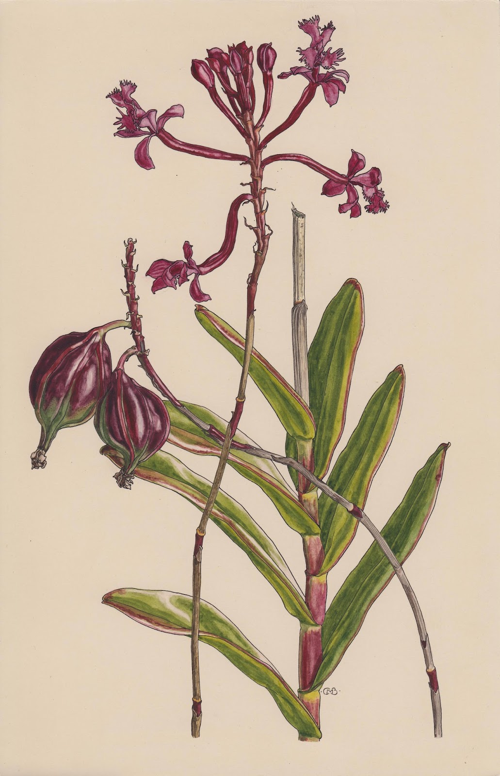 View Full Size Image