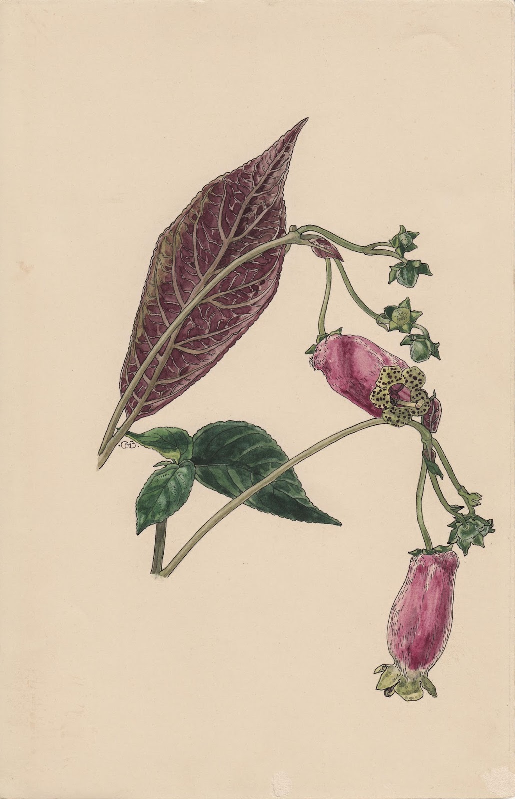 View Full Size Image