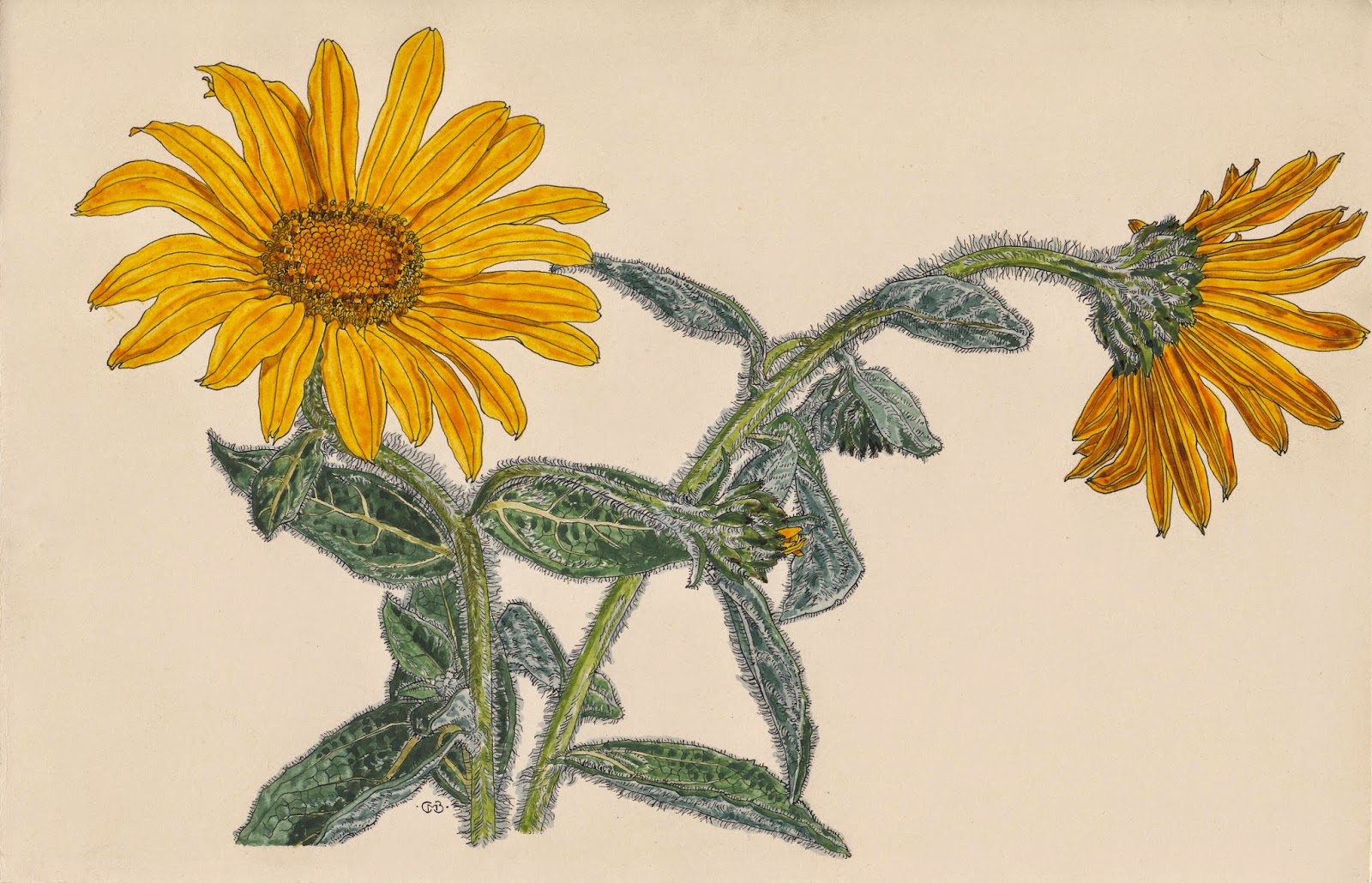 View Full Size Image