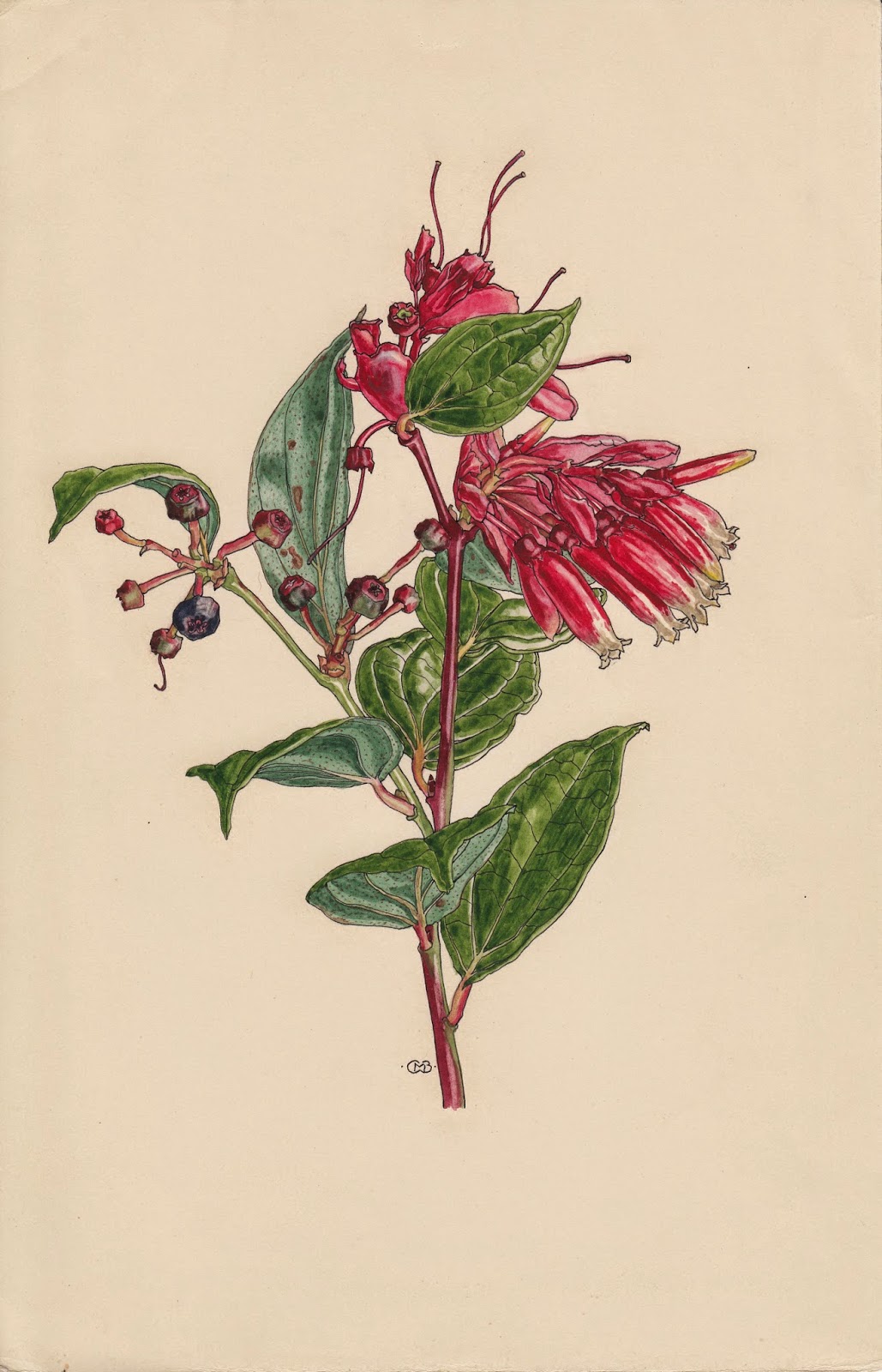 View Full Size Image