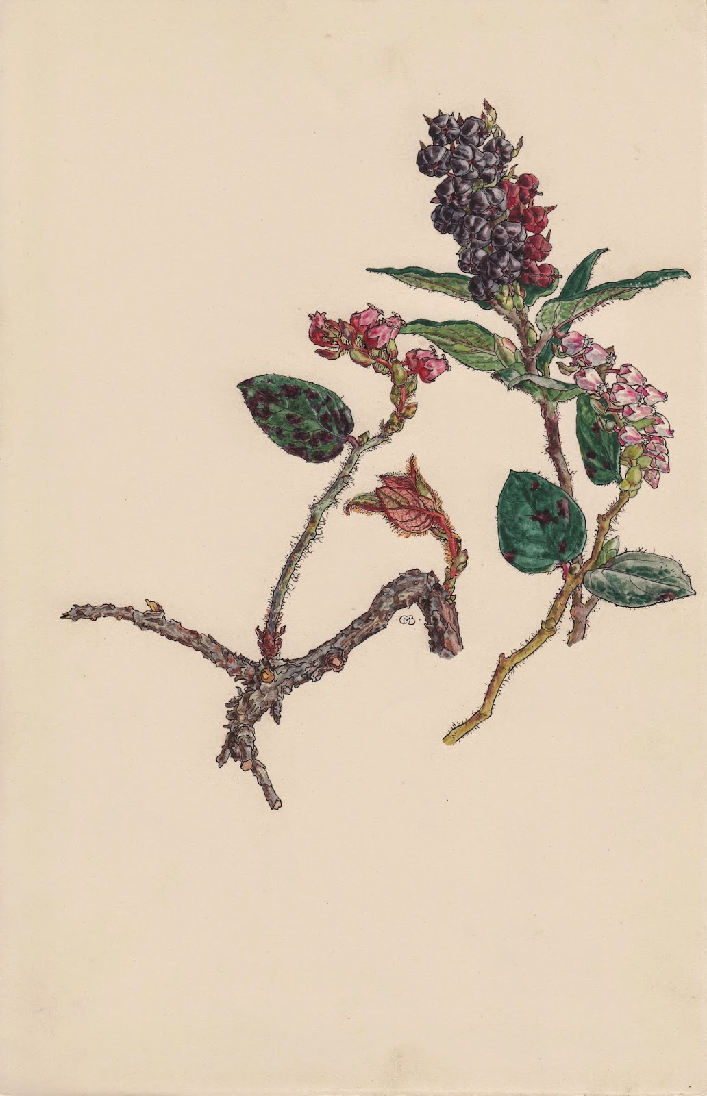 View Full Size Image