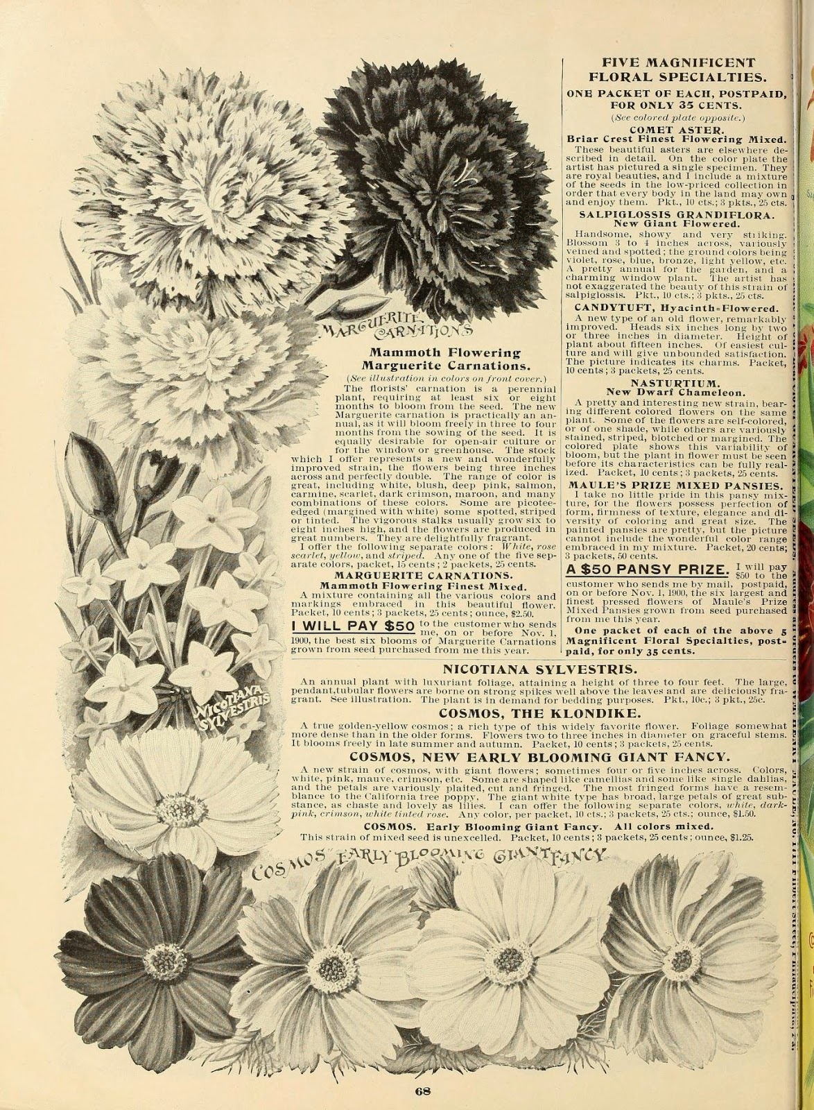 View Full Size Image