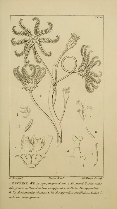 View Full Size Image