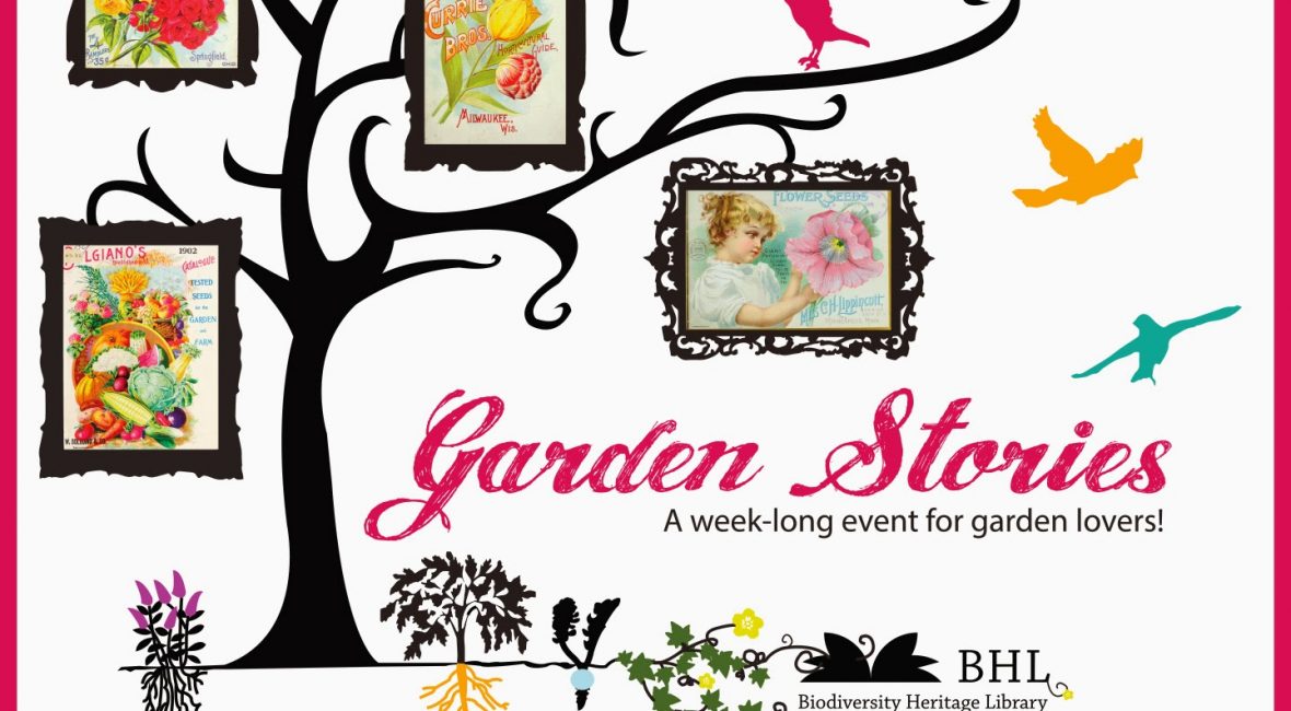 Read the full blog post