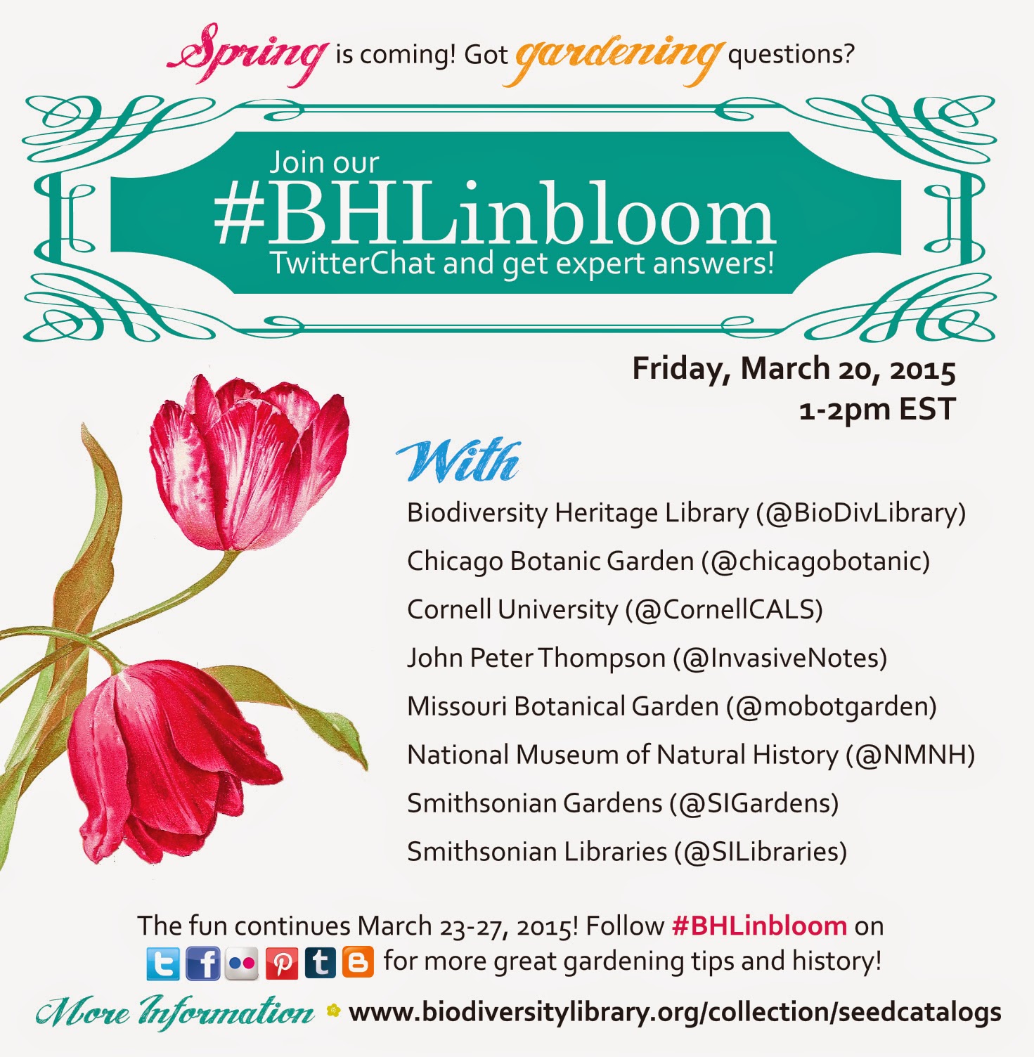 View Full Size Image