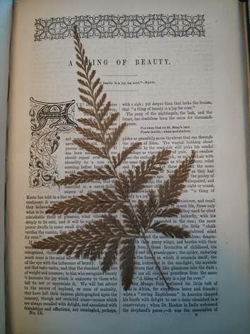 View Full Size Image